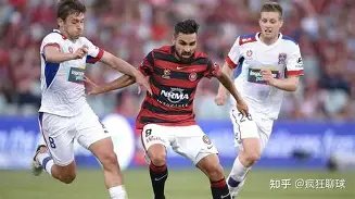 意大利荣耀,已获,欧冠冠军成,爱游戏app,爱游戏官网,爱游戏体育官网,爱游戏体育app